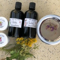 Elisabeth Drabek - Kunst & Kräuter