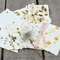 Elisabeth Drabek - Büttenpapier